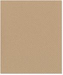 Bazzill - 8.5 x 11 Cardstock - Dotted Swiss Texture - Rope Swing