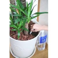 E – 87 – BW watering Breeze, the Elephant (4 Pieces) X 2