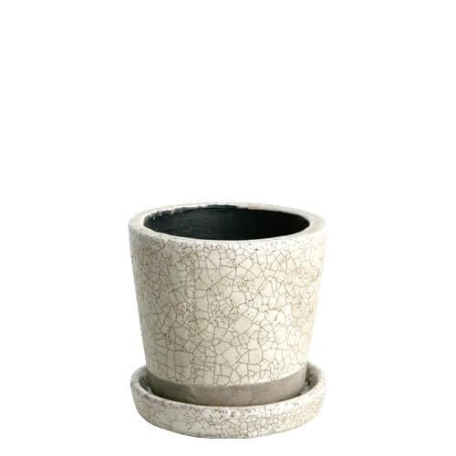 Dulton CH15-G527IV Gardening Supplies, Color Glazed Pot, Ivory, S, with Bottom Hole, Color Glazed Pot Ivory