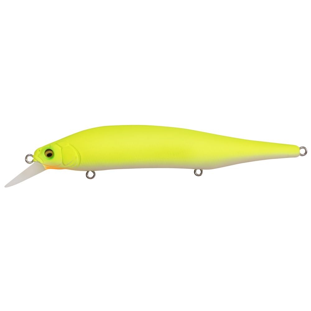 Megabass X-80 Magnum GG Chartback Rainbow PB