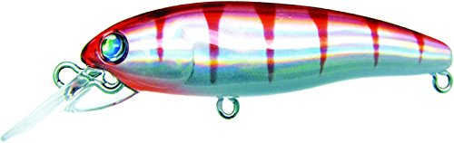 Halcyon System (harusionsisutemu) Lure Moon Bugs 66 沈 16 H – Rtig
