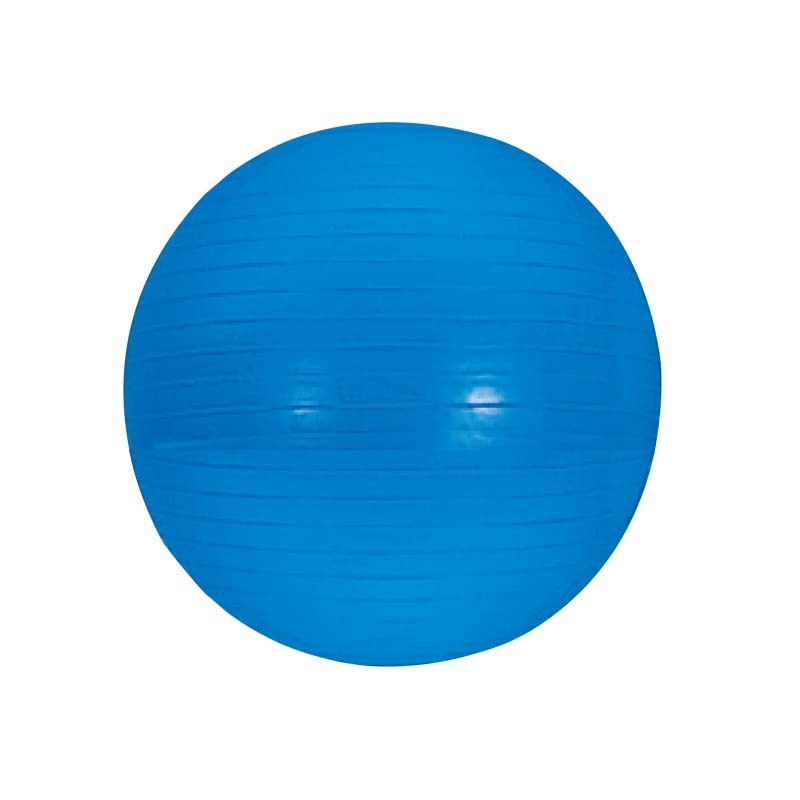 Evernew ETB624 Gym Ball 65