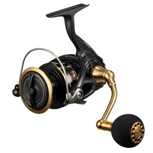 Daiwa Spinning Reel 23BG SW 6000D-P