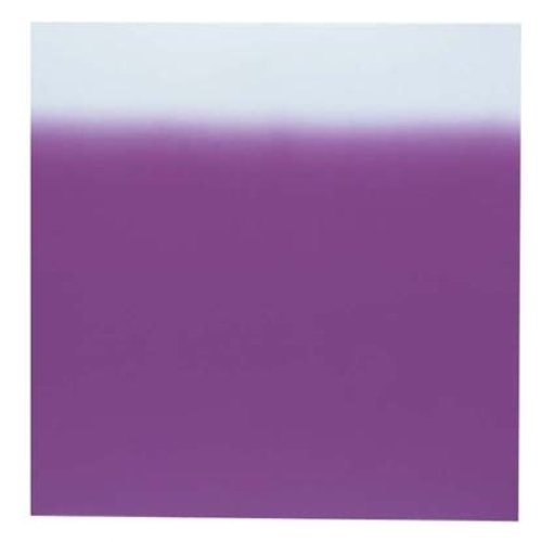 Shinpei Nylon Doug 24 Width (10 Piece) Synthetic Purple