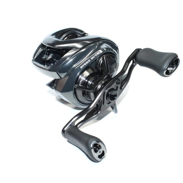 Daiwa SV TW 100HL Bath Bait Reel 24STEEZ (2024 Model)