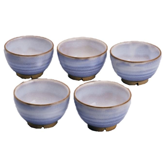 服部天龍 Hagiyaki E3-62 Hagimurasaki Pump, 5 Guests