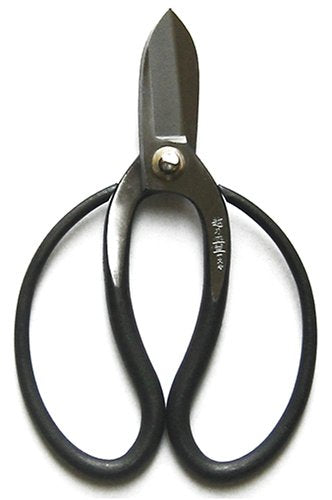 Three Nuwaru Kinko scissors 165mm Xing (japan import)
