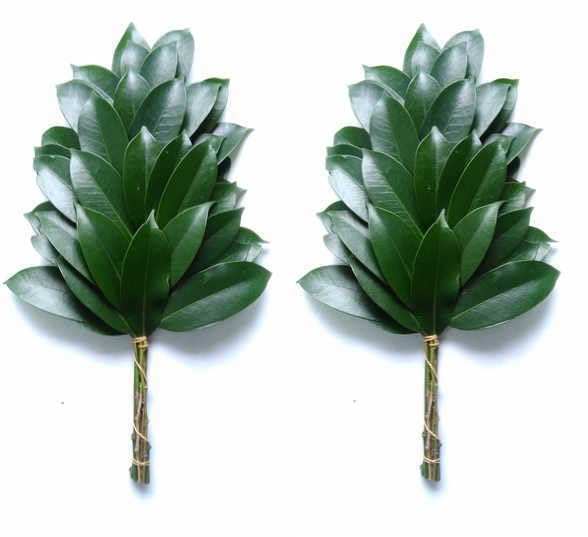 Honzaki, Made in Japan, 1 pair (2 bundles).
