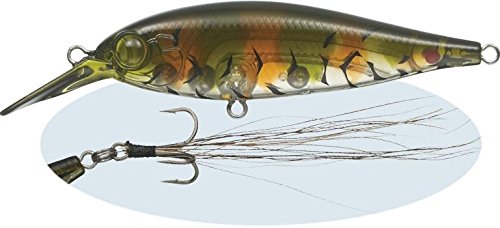Evergreen #151 Shad Bank Shad 2.3 inches (5.8 cm), 0.2 oz (5 g), Tenaga Shrimp