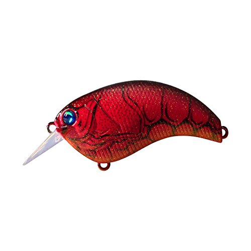 Depth #05 Evoque Crankbait 0.05 inches (1.2 mm), 0.4 oz (11 g), Red Claw