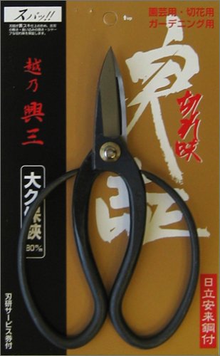 Three Nuwaru Okubo scissors 180mm Xing (japan import)