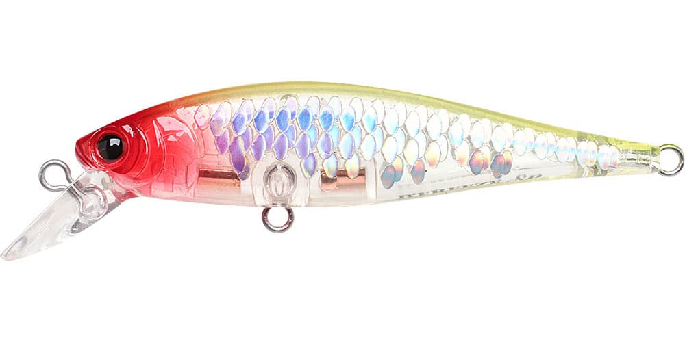 LUCKY CRAFT B'Freeze 65SP, 5431 MS Cown, JDM Jerkbait Side by Side Action Wobbling River Trout Pond Fishing Freshwater Lake Bass Fishing Bait
