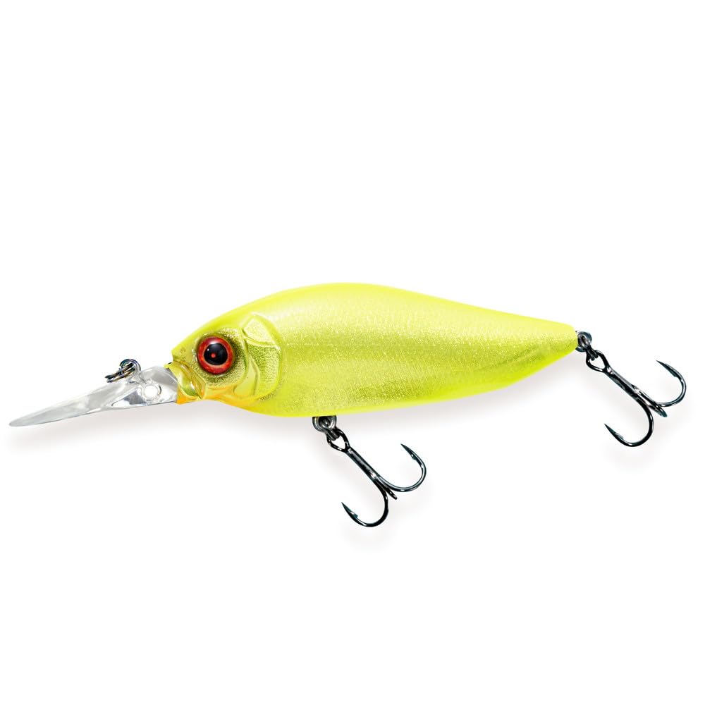Diving FLAPSLAP (SP-C) GLX Double Chart