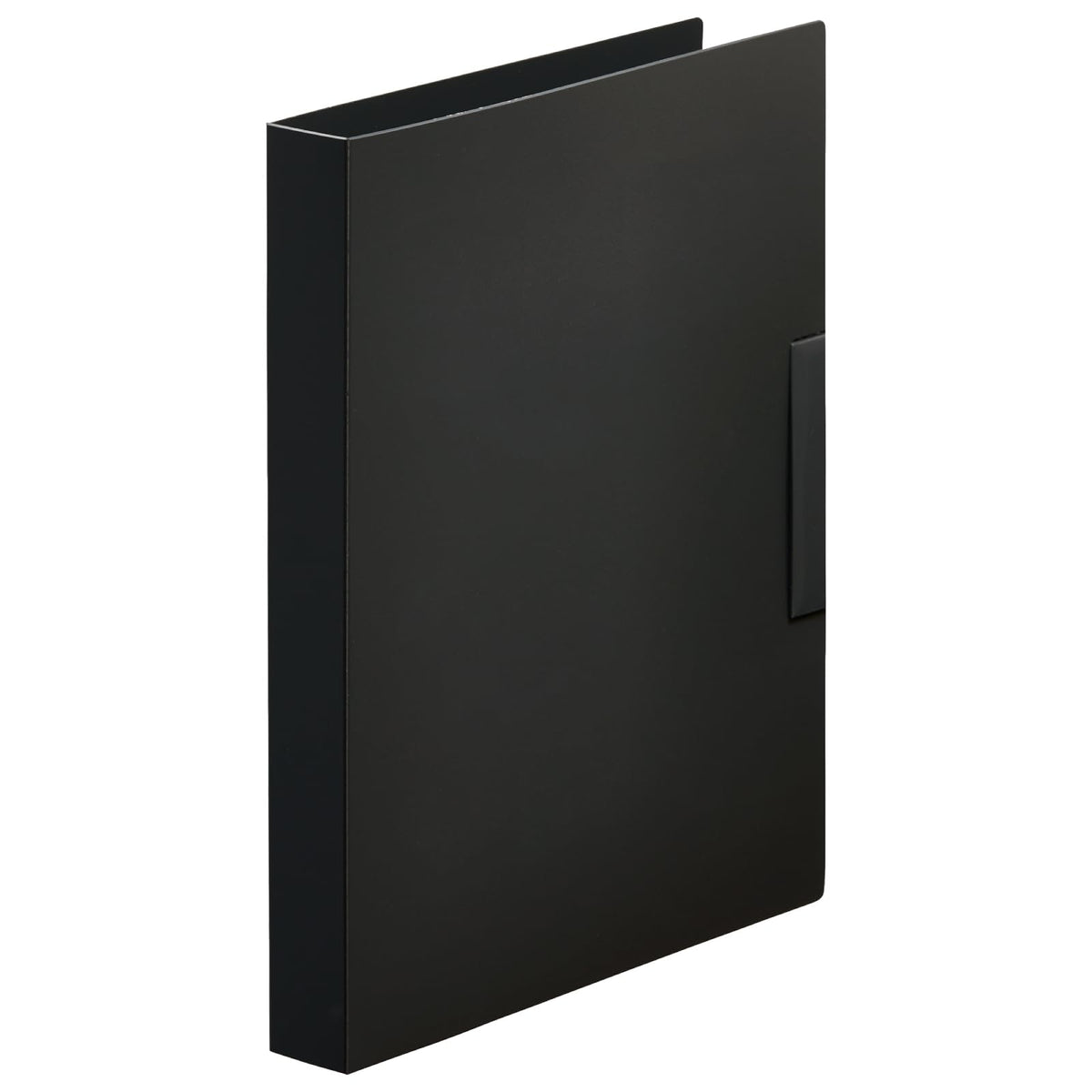 King Jim 2941-BK Refrigerator File Skittman Small Items Organizer, Black