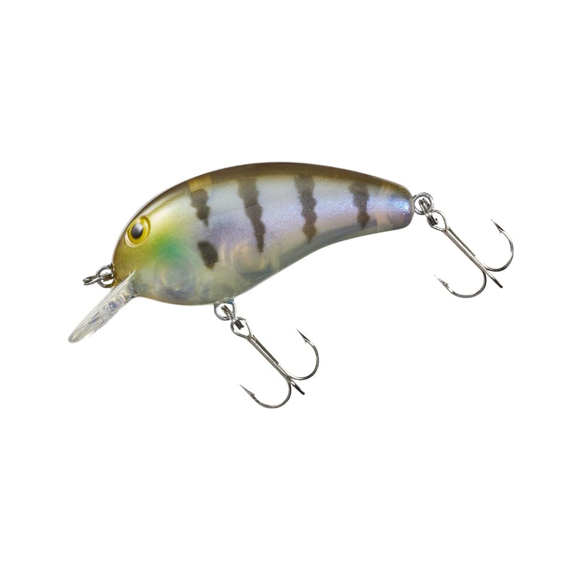 Daiwa 07434339 Peanuts SR Raw Gill, 2.0 inches (50 mm), 0.3 oz (8.9 g)