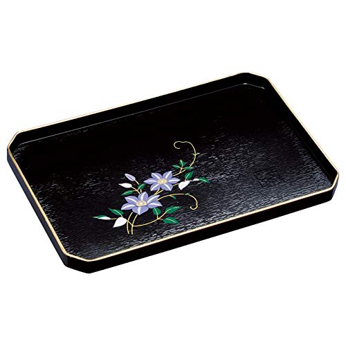 Kishu Coating Black Coated Iron Wire Utility Tray