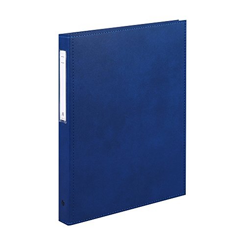 Lihit Lab HB437-1 Carte Book, Thick Type, A4, 4 Holes, Blue