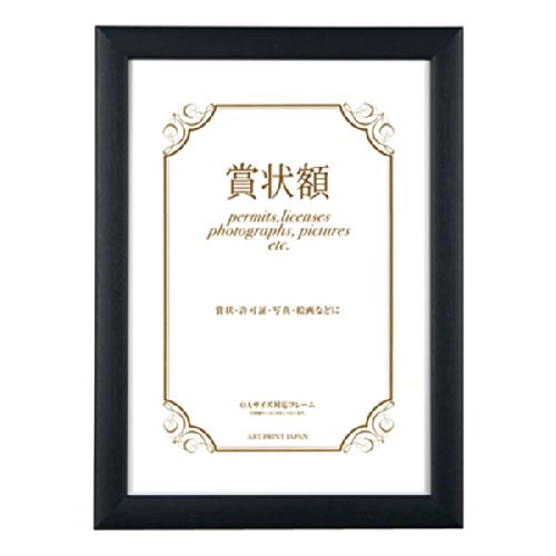 A.P.J. OA Award Plaque Color Panel OA Award B5 Size, Black