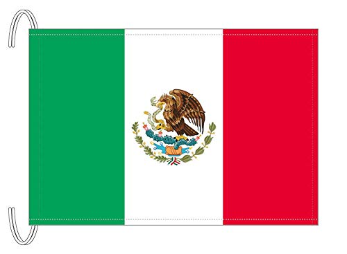 TR Made in Mexico Flag (Medium Format, 34 X/50 cm)