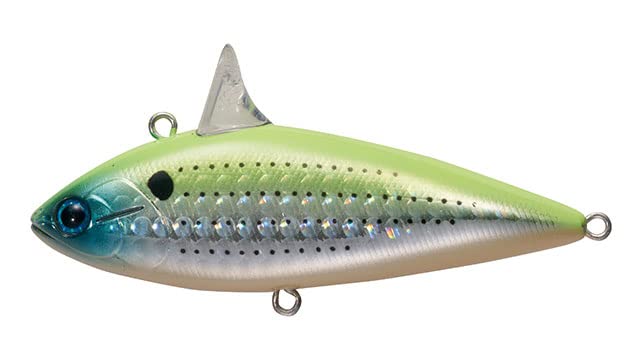 Tacklehouse RBS80 Rolling Bait Shad No. 8 HG Chart Gizzard Shad 3.1 inches (80 mm)