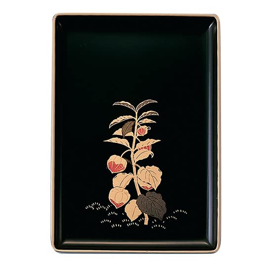 サンメニー Business Card Tray, 小 195×135×13mm, Black (Border) red Picks