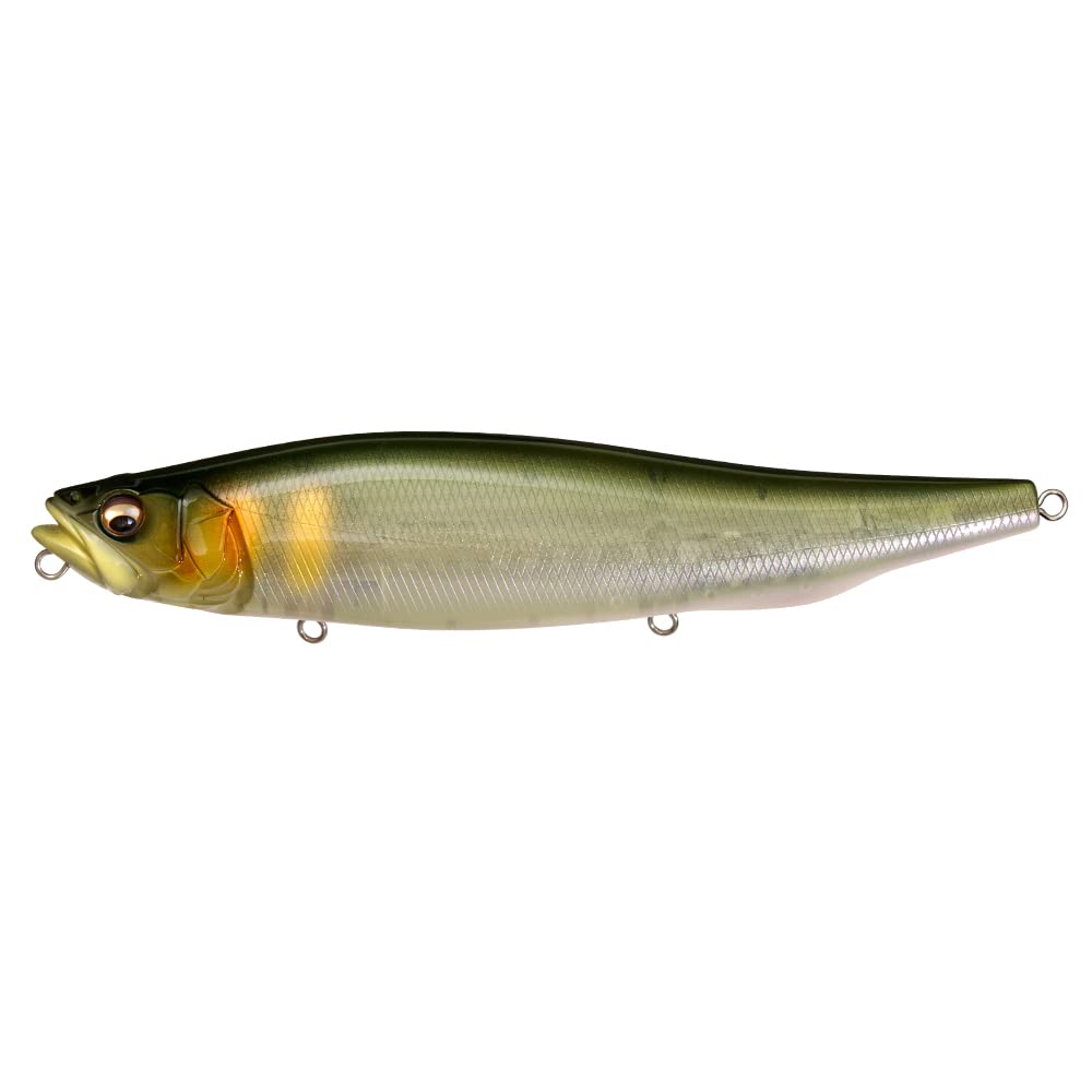 Large Megabass MEGADOG-X in PM AYU Color