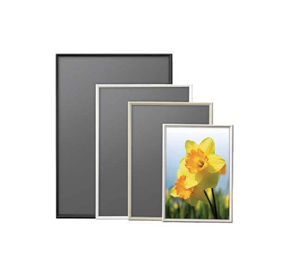 アルテ Arte SH-A5-WH Poster Frame, Shape, A5, White