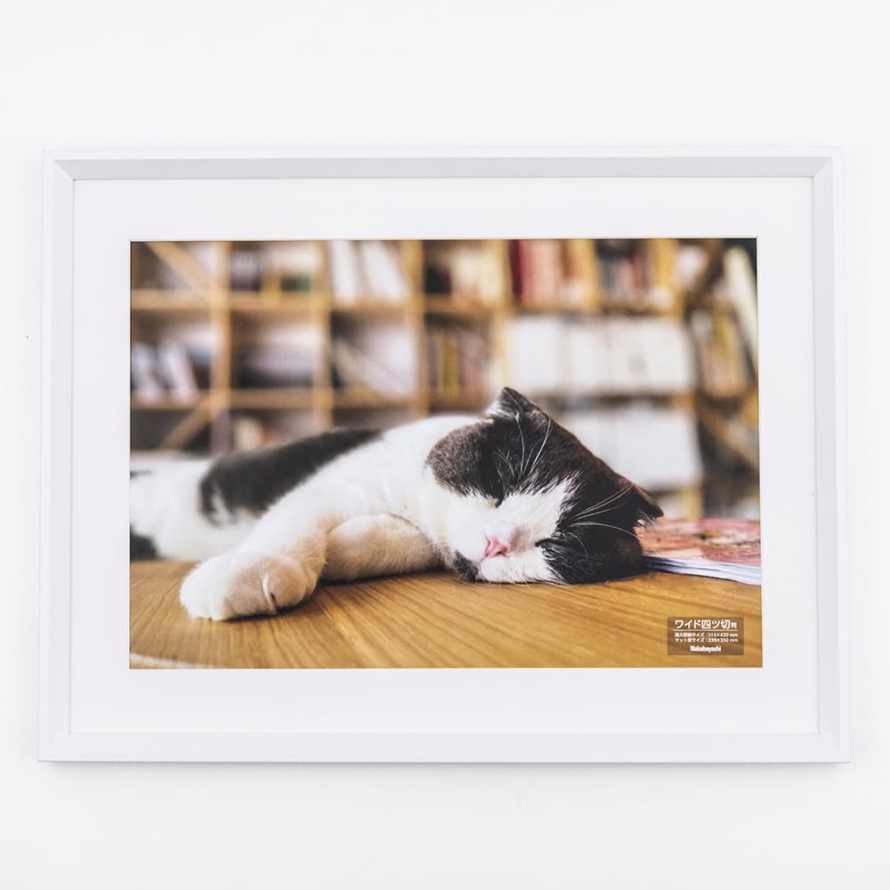 Nakabayashi F-SW-123-W Wooden Picture Frame, Wide, Quart-Cut Design, White