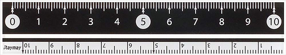 Raymay Fujii APJ128B Ruler, Easy to Read Black and White Ruler, 3.9 inches (10 cm), Black