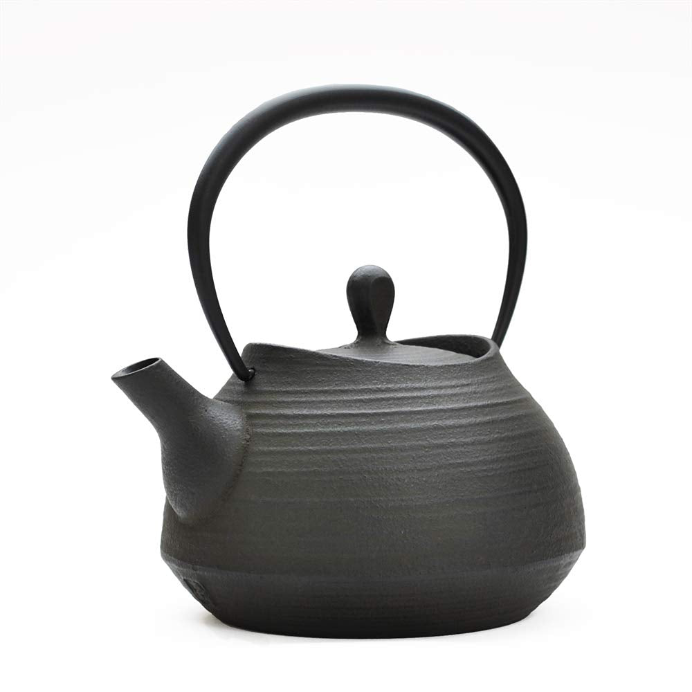 Southern 鉄器: Ten Casting Hall 鉄瓶 Basting Eyes Hakeme 0.6l w15xd13xh17 (cm)