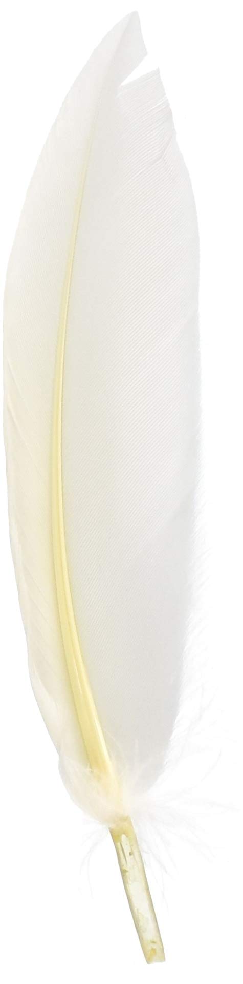 Double Reed Cleaning Feathers, Set of 3