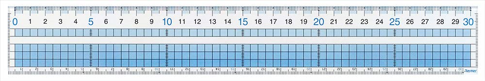 Raymay Fujii AJH308 Ruler, Easy to Read Grid Ruler, 11.8 inches (30 cm)