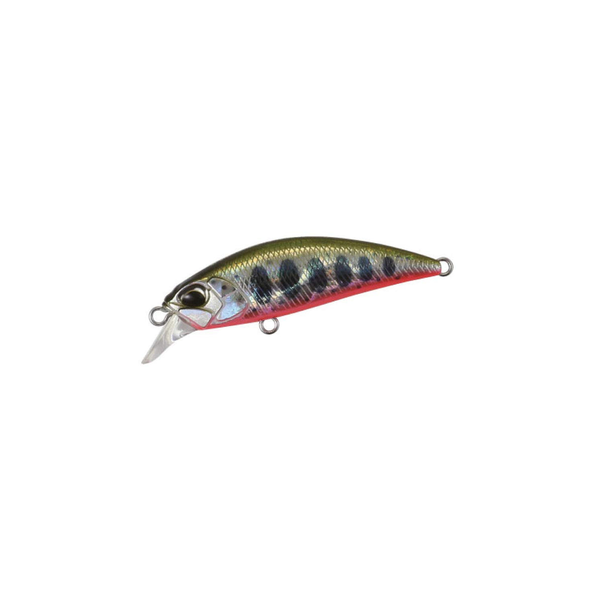 Duo ADA4068 Spearhead Ryuki 38S Red Belly Yamame