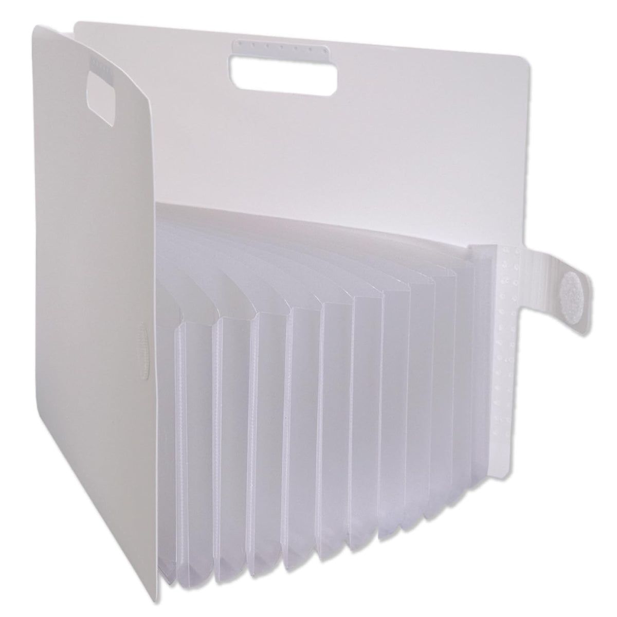 Sakura Crepas TF-A4#50 Document Print Storage Case Komagame File A4 White