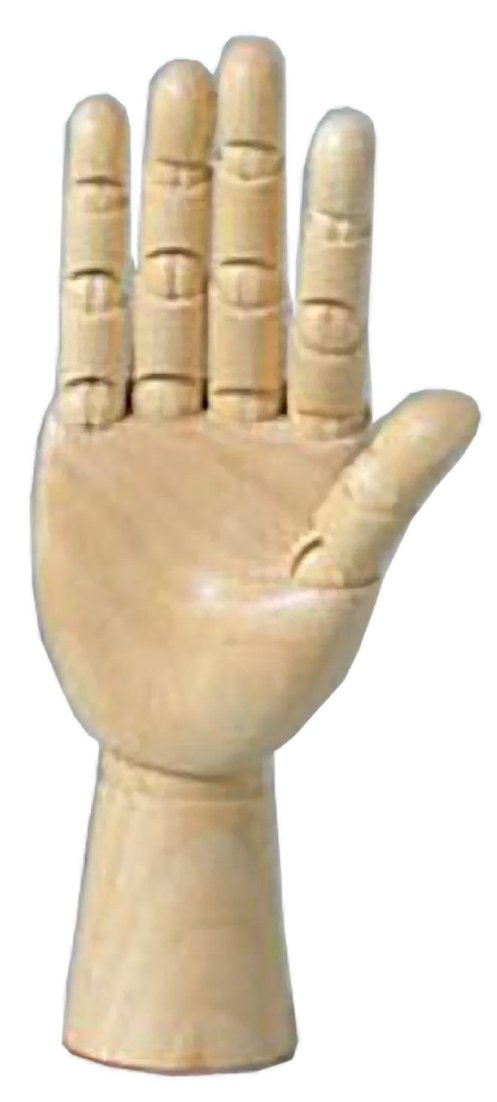 Dorapasu Risa model small hand 17cm right hand 91 804 (japan import) by Dorapasu