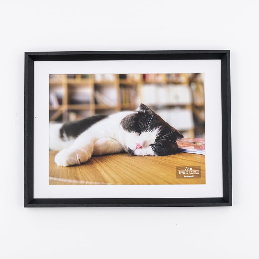 Nakabayashi F-SW-121-D Wooden Picture Frame, A4 Size, Black