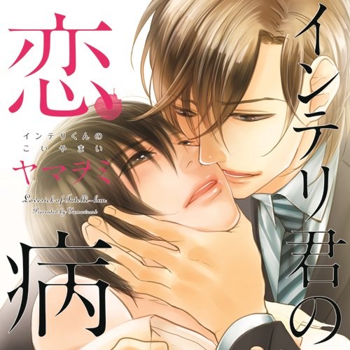 INTERIKUN NO KOIYAMAI