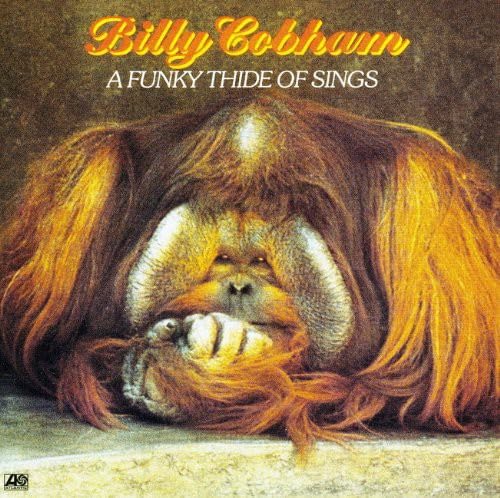 Funky Thide Of Sings