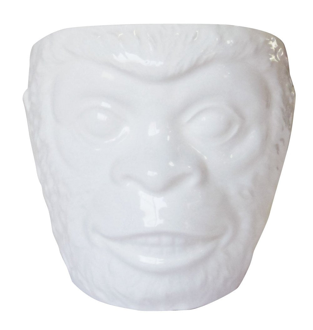 サンアート Sunart SAN2498 Funny Tableware, Brain, Monkey Don, 17.6 oz (500 g), White