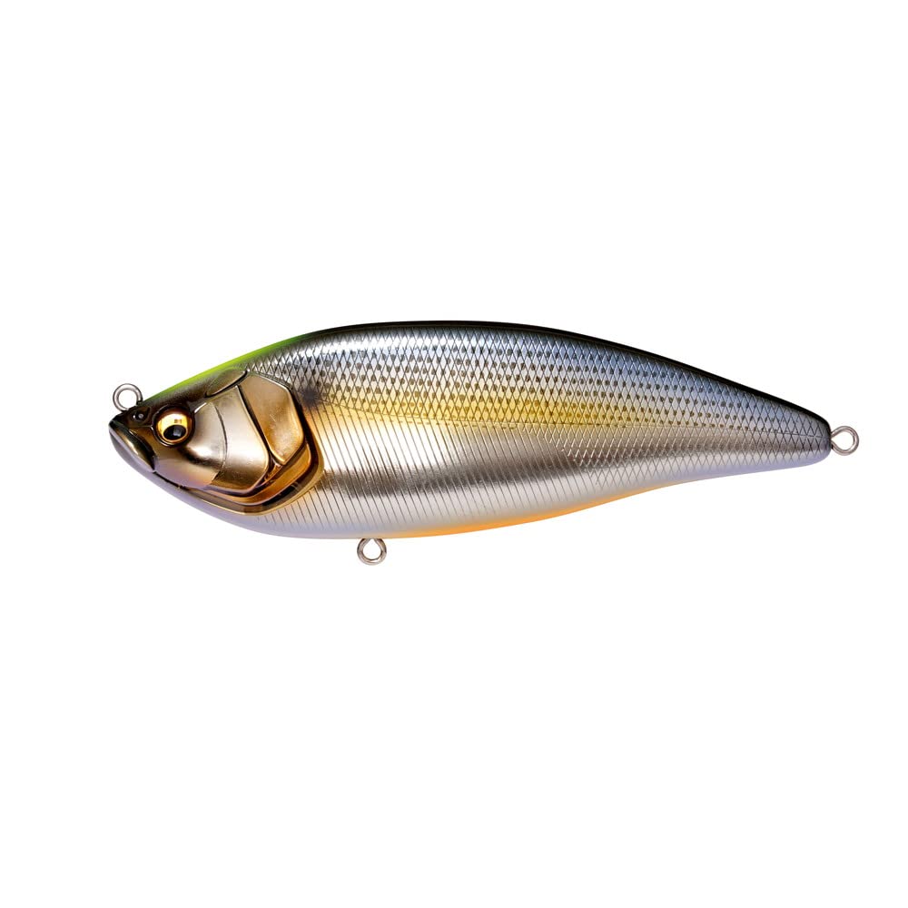 KONOSIRUS Swimmer (F) Japanese Silver Conoshiro Indicator