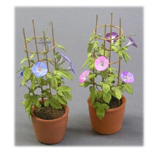 Table garden series 1/12 Morning glory (japan import)