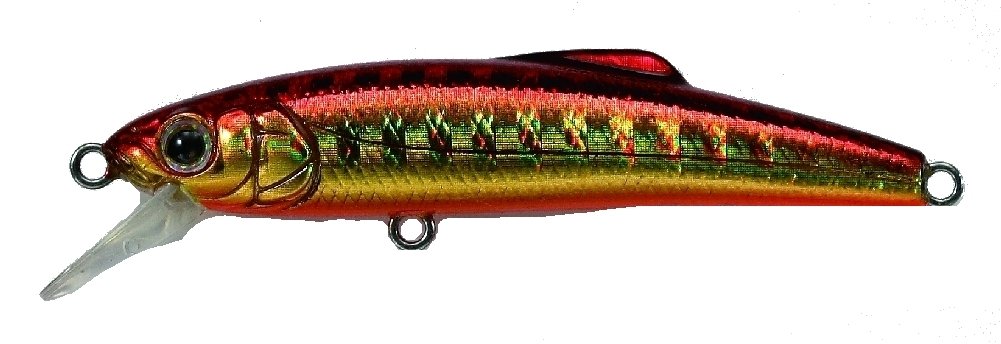 TackleHouse Buffett S43 Minnow Fishing Lure, Small Size, 1.7 Inches (43 mm), 0.1 Oz (2.4 g), Gold Red/Orange Berry #13