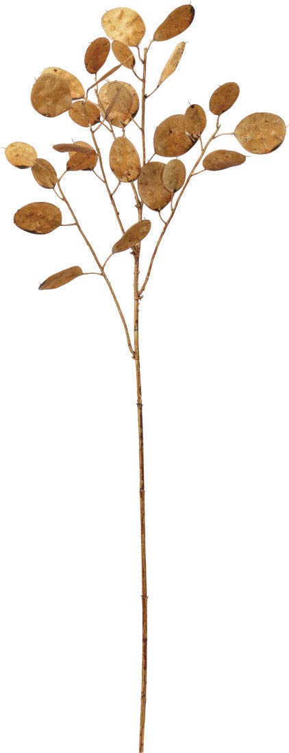 ASCA Artificial Flower Money Plant Leaf Length 1.4-2.2 inches (3.5-5.5 cm) A-43749-028B