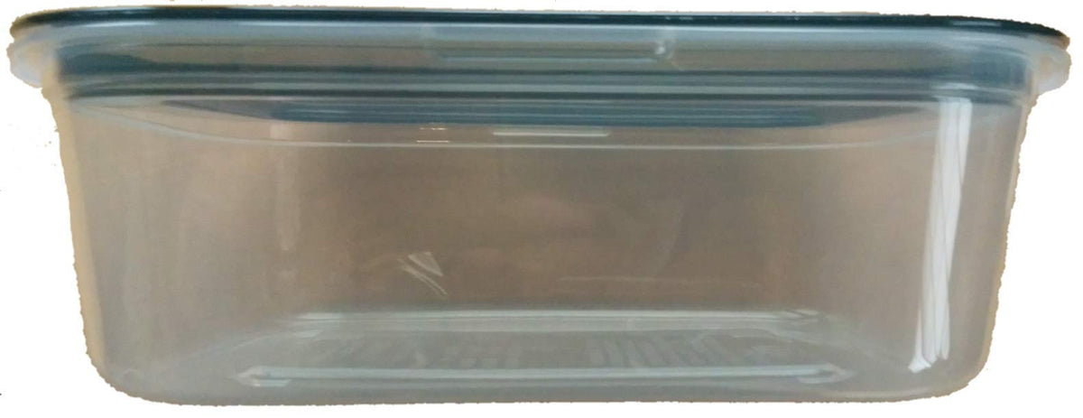 Inomata Plastic Container for Food Strage Flat edge 28oz 5x8x2inch Made in Japan