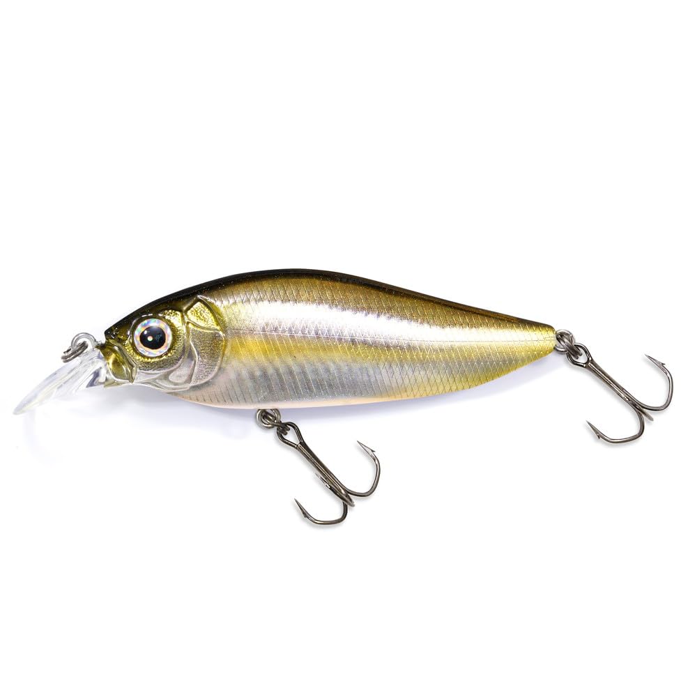 Flap Slap (SP-C) FA Stripe Shiner