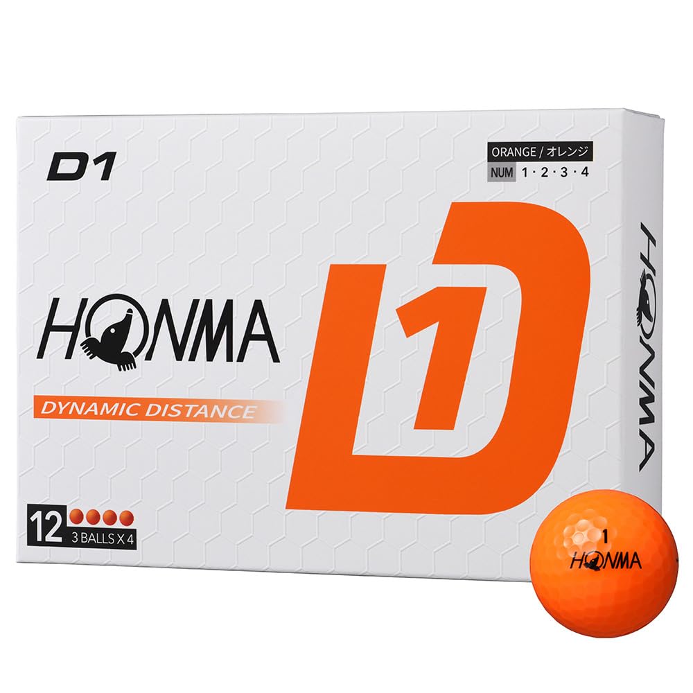 D1 2024