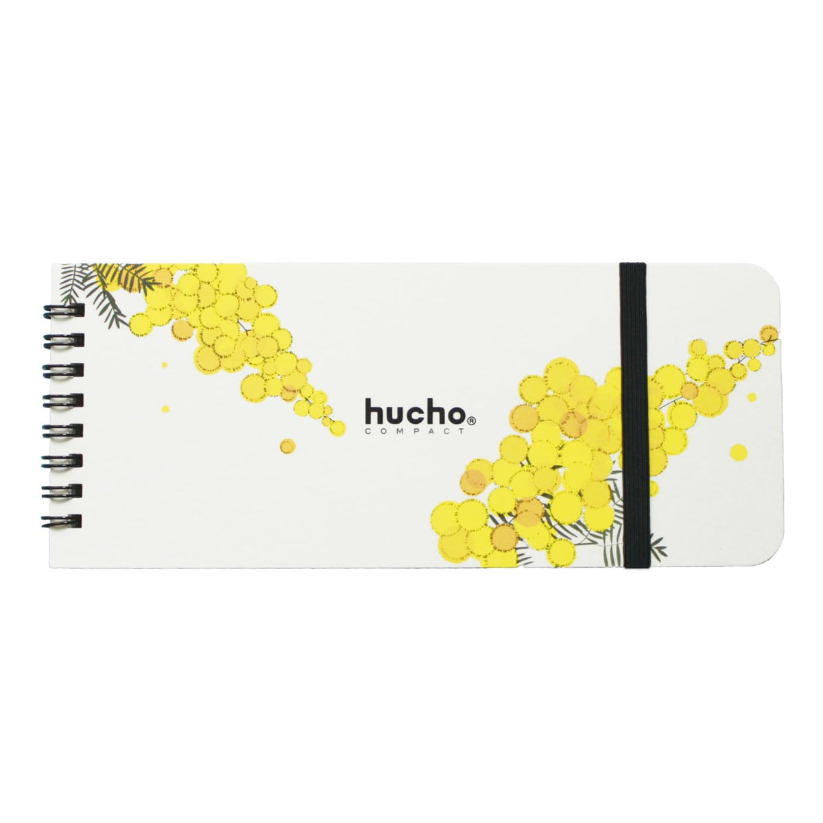 Chocotto Savings Envelopes Hucho Compact 12 Envelopes with Windows, Rubber Band, Width 8.1 inches (20.5 cm) x Height 3.3 inches (8.5 cm) Piggy Bank, Bills, Bag-Dividing, Fun, Miscellaneous Goods
