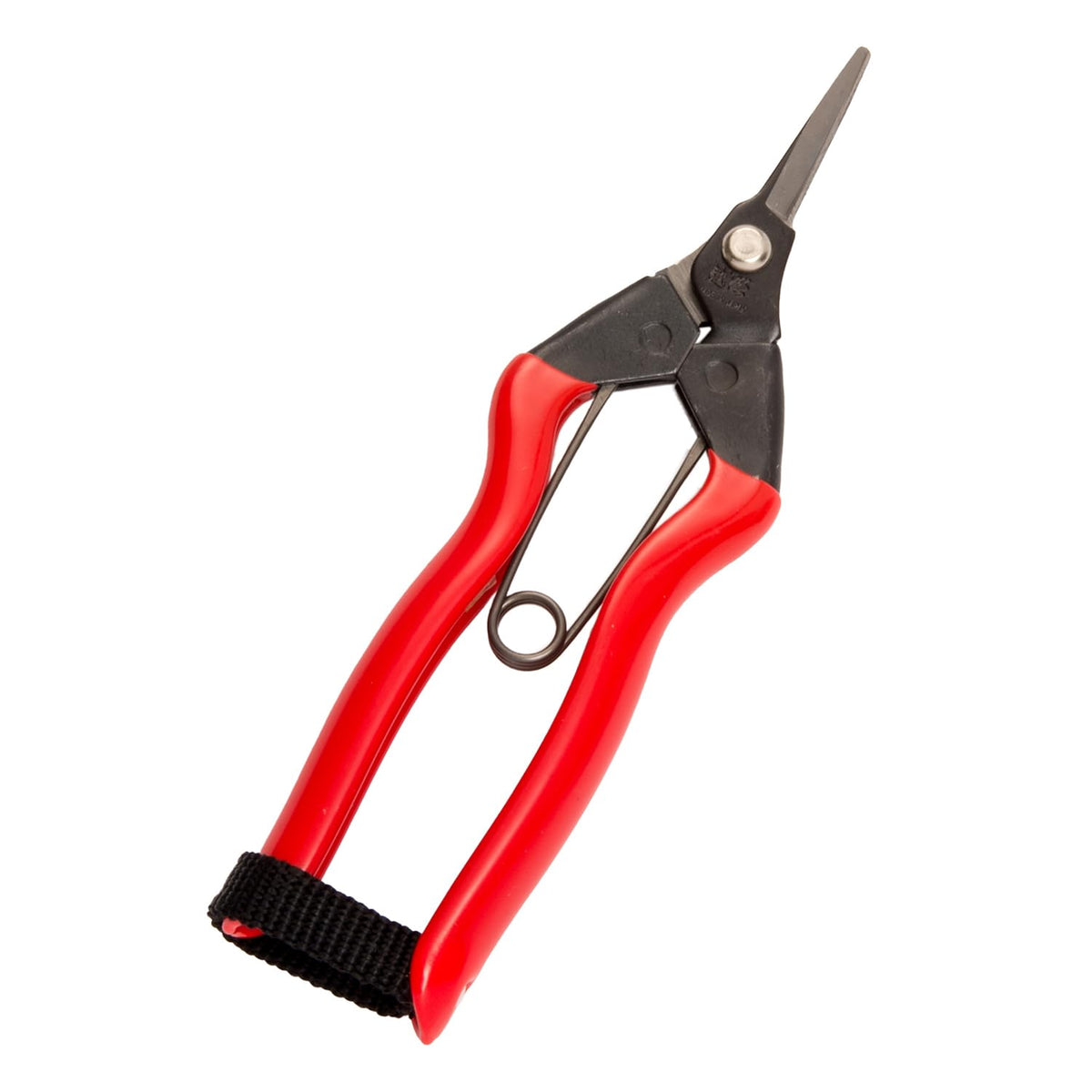 Koshiji scissors S-18 (japan import)