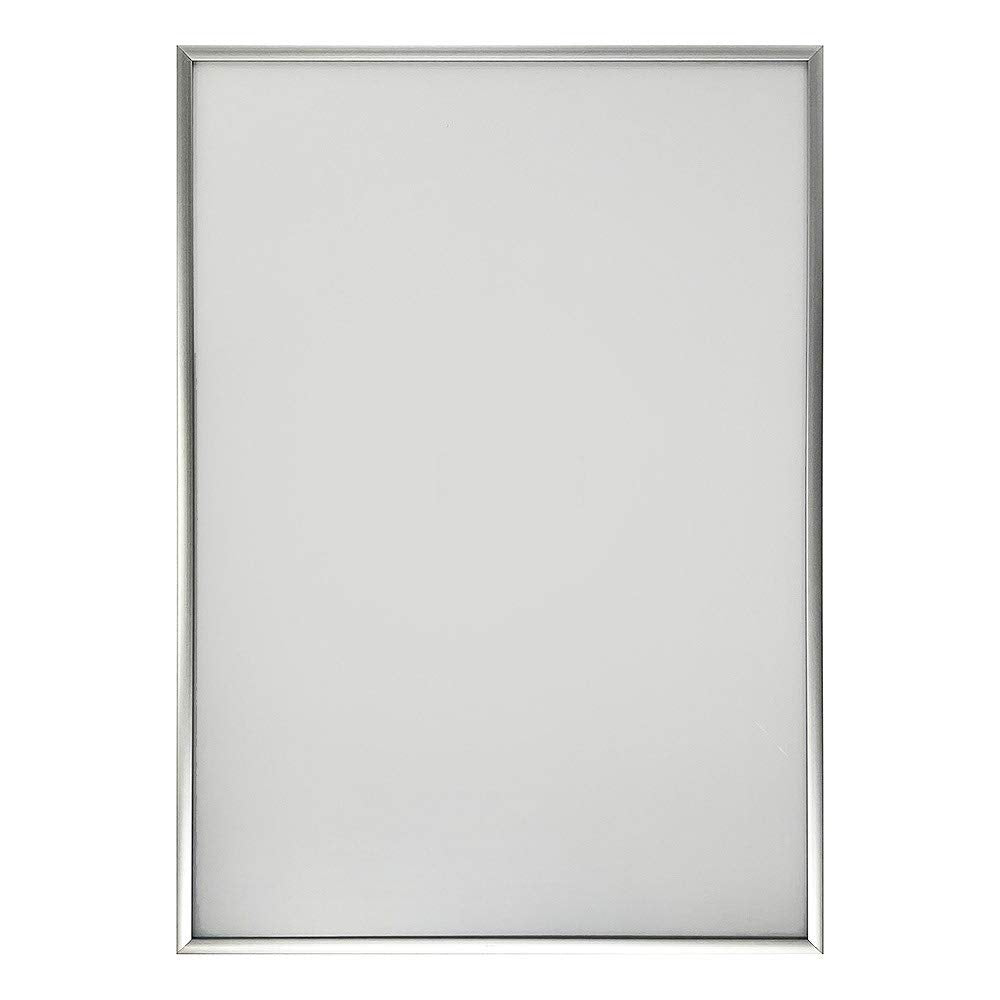 アートプリントジャパン A.P.J. Fitted Frame Poster Size (300x400mm) Silver