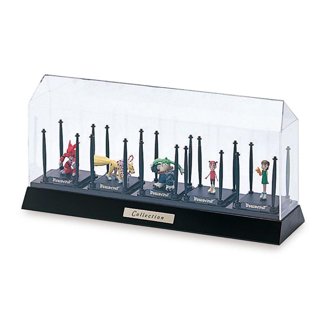Iseto S101 I-229-31 Collection Case (Display Case)